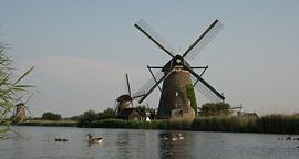 Ganzen in Kinderdijk sur Jolanda Wisselo