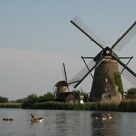 Kinderdijk sur Jolanda Wisselo