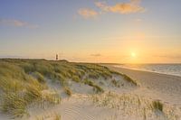 Sylt Sonnenuntergang am Ellenbogen