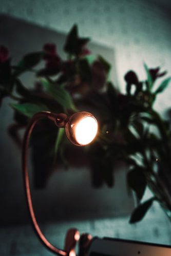 Mooi lampje met een plant er achter met een schilderij op de achtergrond van Bram van Egmond