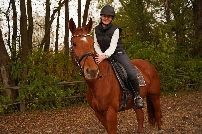 Training with the bay Oldenburg mare on a riding arena by Babetts Bildergalerie