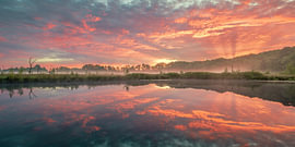 A morning in the Appèlbergen nature reserve on the border between the provinces of Groningen and Drenthe