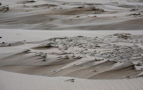 Dünen von Texel von Photography by Cynthia Frankvoort
