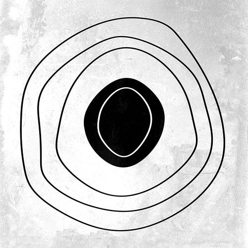 Abstracte geometrische zwarte en witte cirkels 6