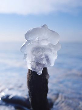 Eis am Stiel – Darß Weststrand im Winter 2018 von Jörg Hausmann