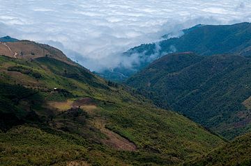 Ecuador: El Cajas National Park (Azuay) by Maarten Verhees