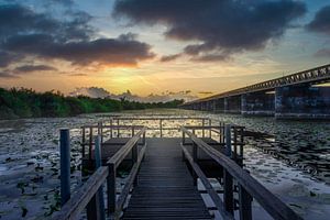 Pont de puits de noix à Den Bosch sur Dennis Donders