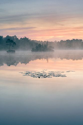 Brabant Oisterwijkse bossen en vennen