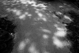 Sunlight through the trees - Part 2 by ByMinouque