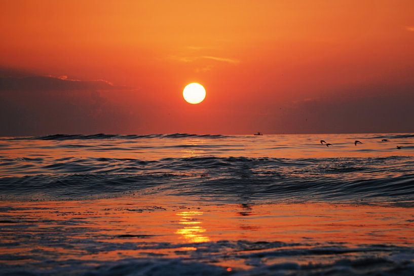 Surfer In The Sea by Walljar