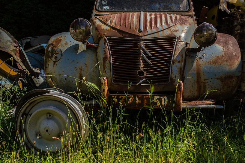 Rusty blue Lemon 2CV by René Groenendijk