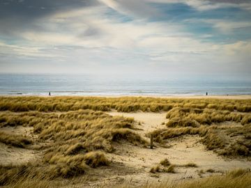 Duinen met zee