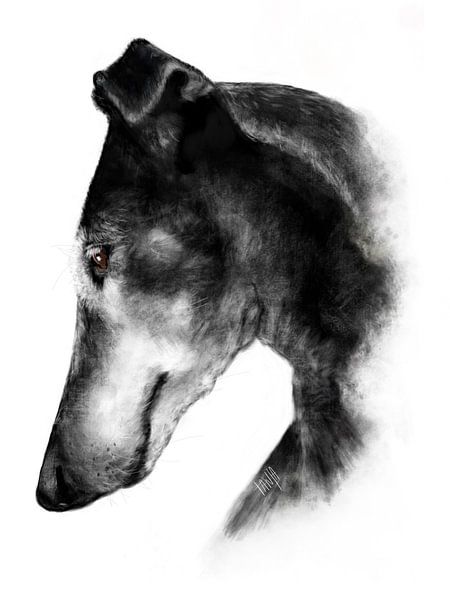Looking down by Tanja Kooymans