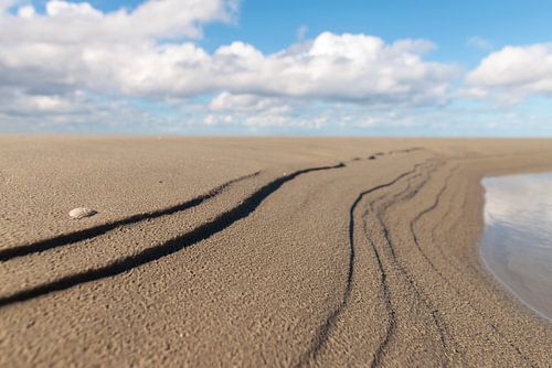 Espace, nuages, lignes