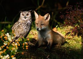 Samen zijn we sterk van Bert Hooijer