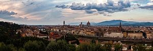 Panorama van het uitzicht in Florence van Roy Poots