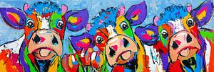 3 Bunte glückliche Kühe | Panorama