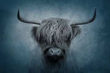 Schotse Hooglander Mystiek in Koele Blauwtinten van Femke Ketelaar
