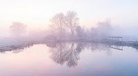 Lever de soleil dans un polder néerlandais