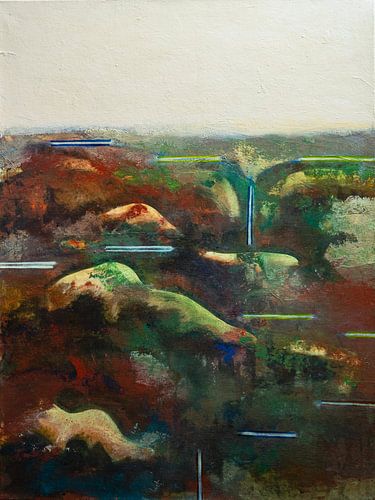 Schiermonnikoog nr. 9