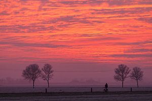 Eenzame fietser
