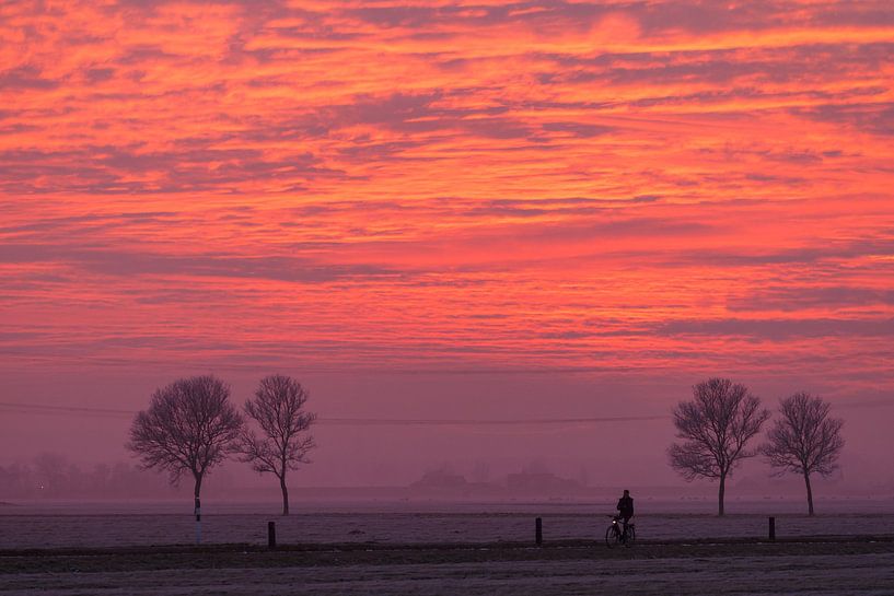 Eenzame fietser van Menno Schaefer