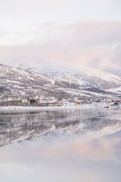 Reflectie in het Kaldfjord van Henrike Schenk