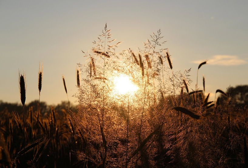 Sunrise by Matthias Brix