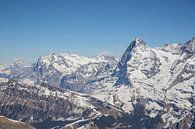 Eiger Nordwand in sonniger Winterschnee Landschaft von Martin Steiner Miniaturansicht