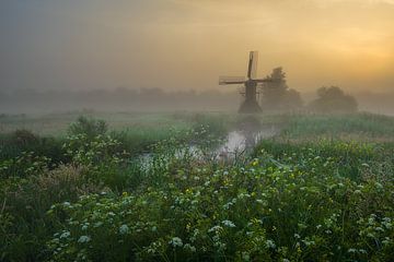 Molen De Witcher van Mark van der Walle
