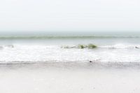 Beach and sea