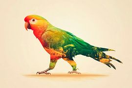 Colourful parrot nature by Poster Art Shop