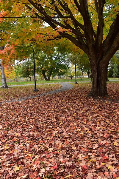 A park trail in autumn by Claude Laprise