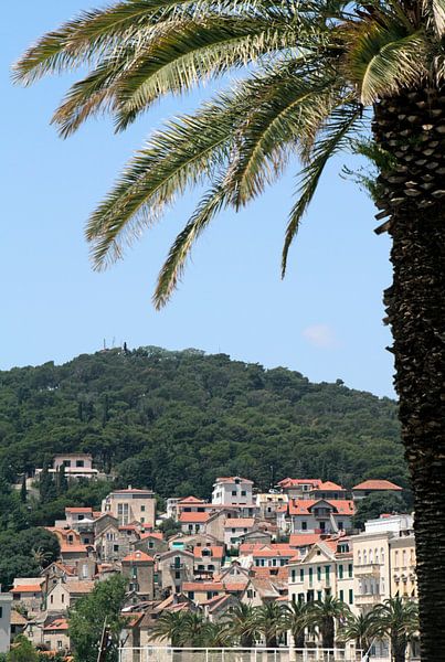 Hafenblick auf die Häuser an der Küste von Split, Kroatien von Lensw0rld