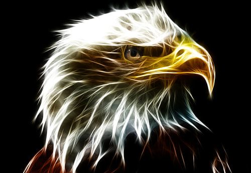 From the eye of an eagle by Bert Hooijer