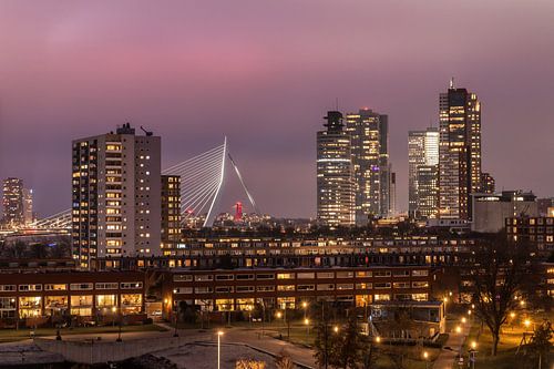 Rotterdam Skyline 1