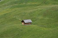 Dat schuurtje staat als een huis.