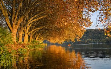 Baldeneysee, Essen, Duitsland van Alexander Ludwig