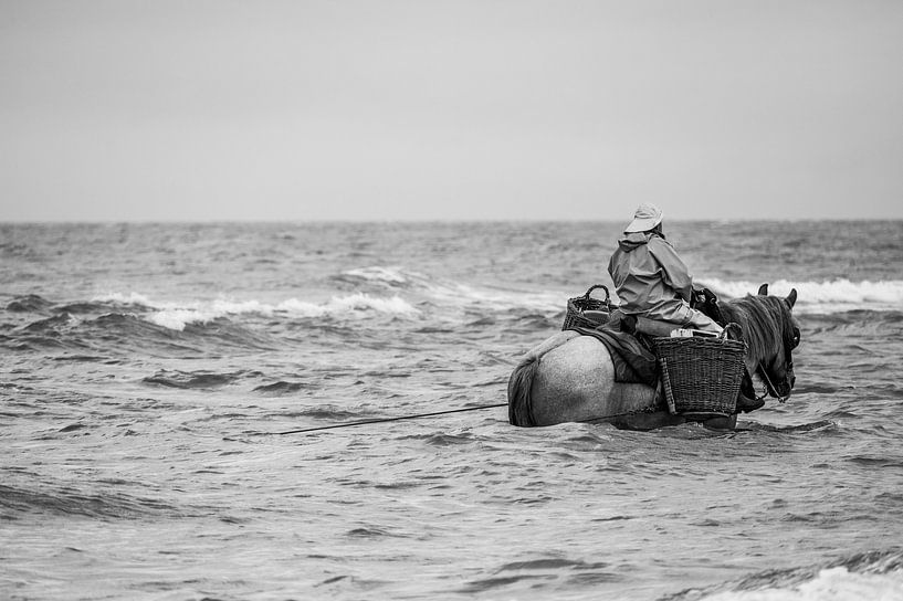 Le pêcheur de crevettes par philippe evenepoel