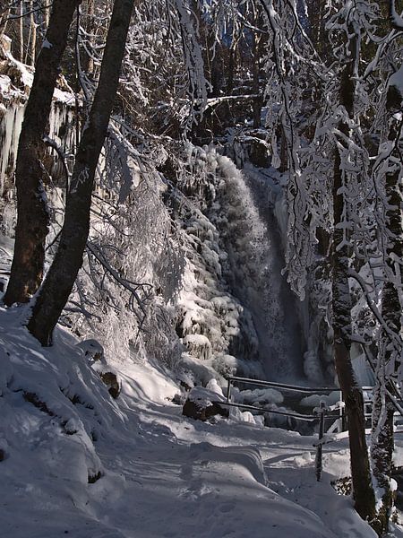 Todtnau watervallen in de winter van Timon Schneider