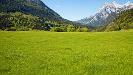 Landschaft in den Alpen von Bo Valentino