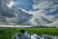 Wolkenlucht boven Haagse Beemdenbos 2