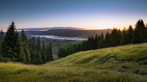 Die Stille der Natur von Steffen Henze
