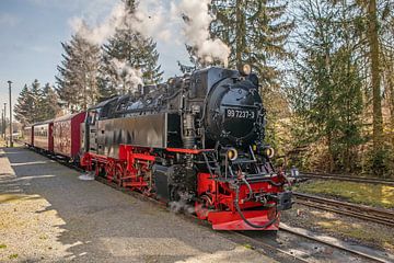 Einfahrt der Selketalbahn in den Bahnhof Hasselfelde von t.ART