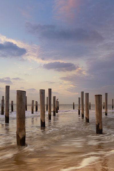 Palendorp Petten van KB Design & Photography (Karen Brouwer)