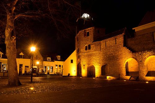 Vischpoort en Vischmarkt van Harderwijk