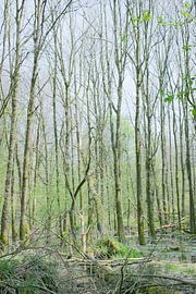 groen by Aart Jan van Mossel