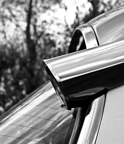 Photo of a detail of a lemon DS.