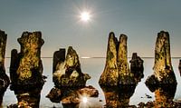 Windstil IJsselmeer par Harrie Muis Aperçu