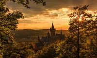 Wernigerode en kasteel bij zonsondergang van Frank Herrmann thumbnail